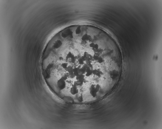 X0000115351429200911241142