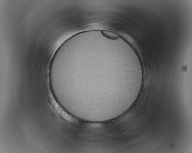 X0000115351431200911241142