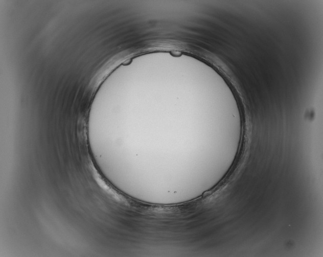 X0000115351433200911241142