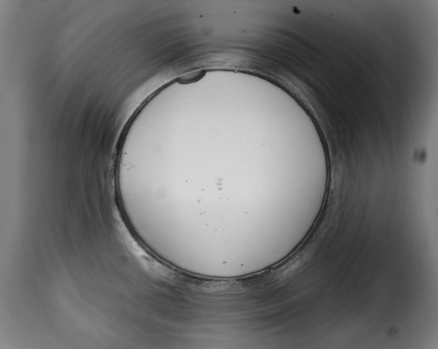X0000115351434200911241142
