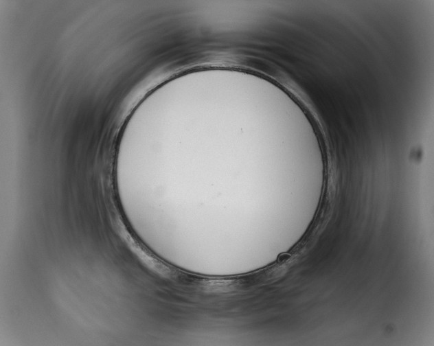 X0000115351437200911241142