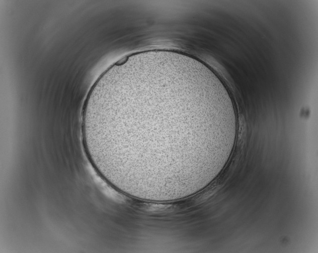 X0000115351439200911241142