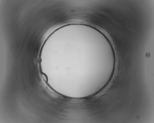 X0000115351440200911241142