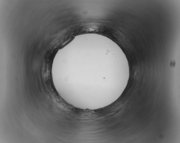 X0000115351442200911241142