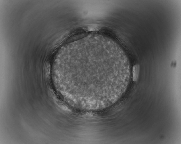 X0000115351443200911241142