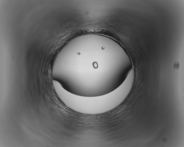 X0000115351444200911241142