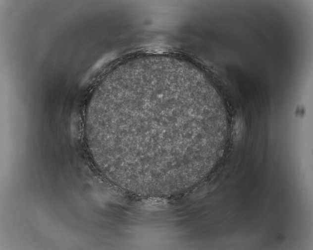 X0000115351446200911241141