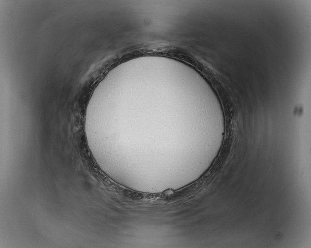 X0000115351447200911241141
