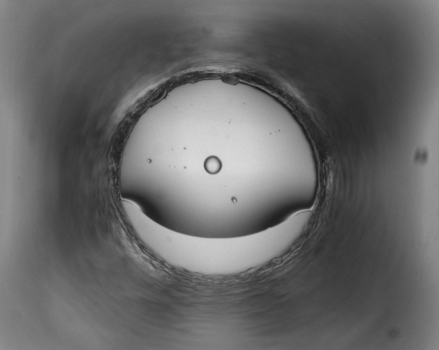 X0000115351448200911241141