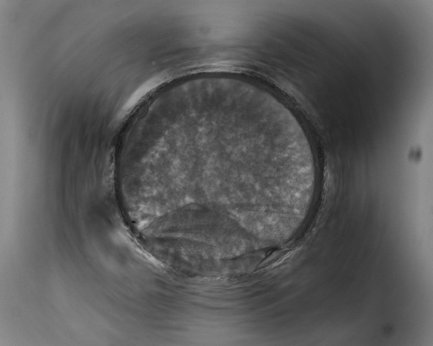 X0000115351450200911241141