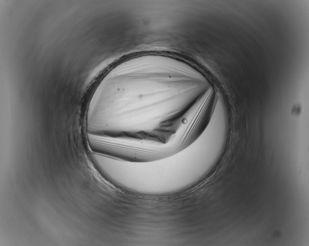 X0000115351452200911241141