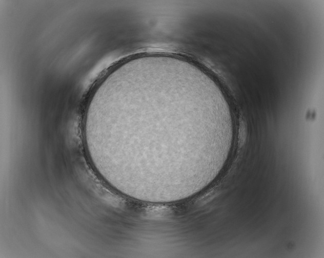X0000115351454200911241141