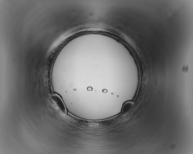 X0000115351456200911241141