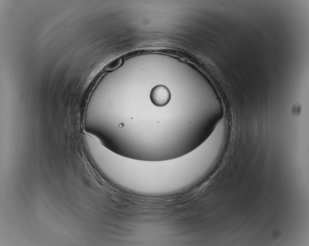X0000115351457200911241141