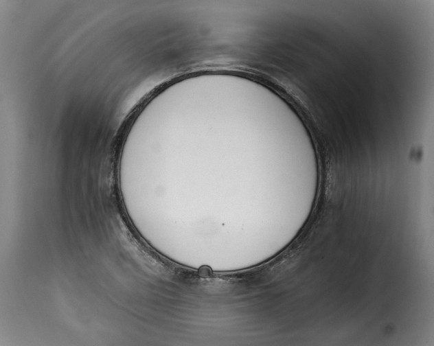 X0000115351458200911241141