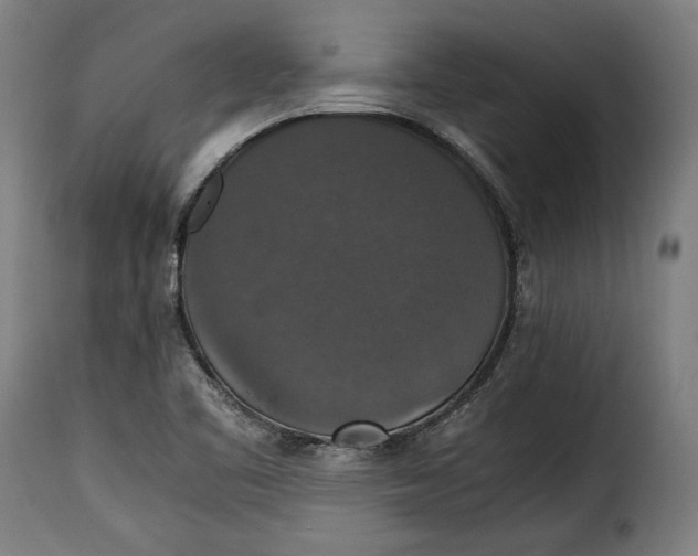 X0000115351461200911241141