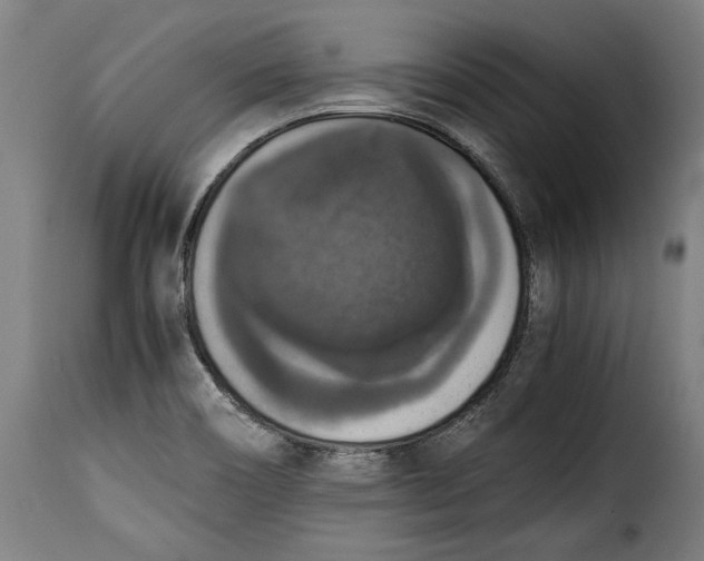 X0000115351466200911241141