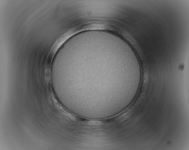 X0000115351473200911241141