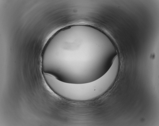 X0000115351476200911241141