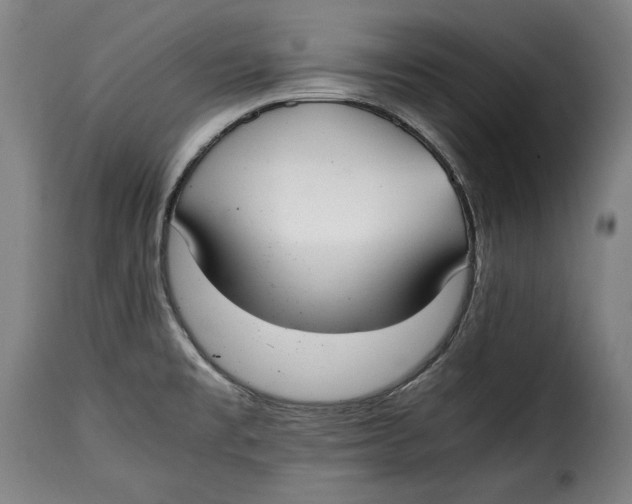 X0000115351477200911241141