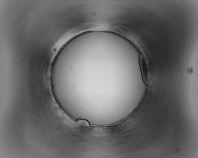 X0000115351480200911241141