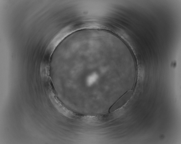 X0000115351481200911241141