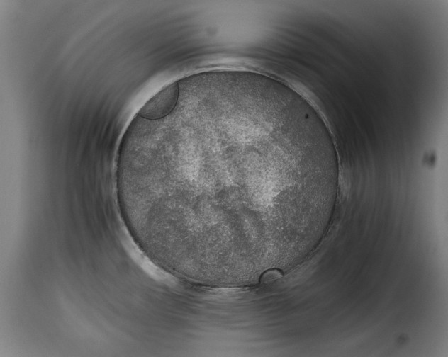 X0000115351482200911241141