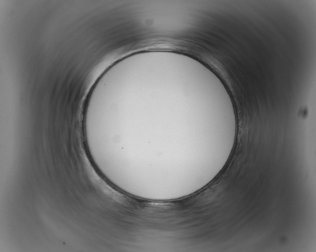 X0000115351483200911241141