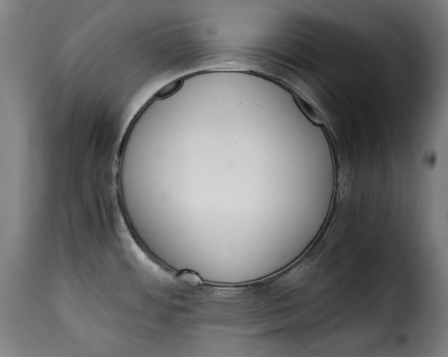 X0000115351484200911241141