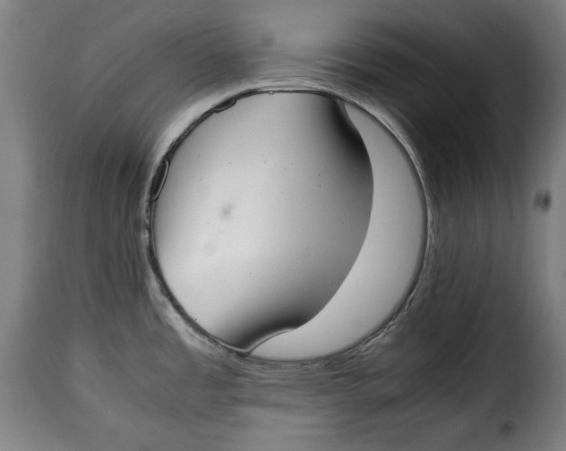 X0000115351485200911241141