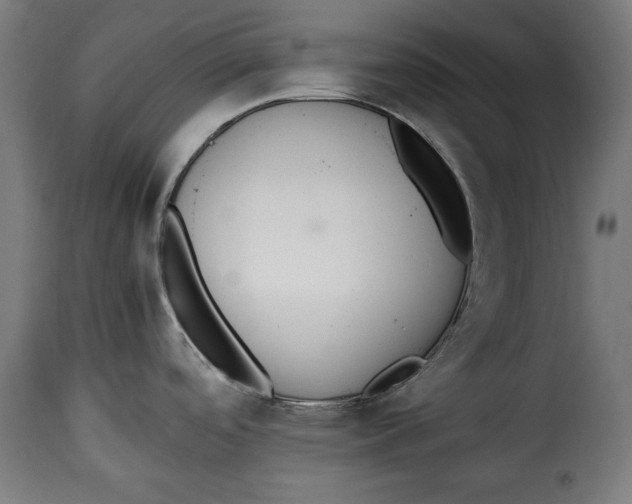 X0000115351488200911241141