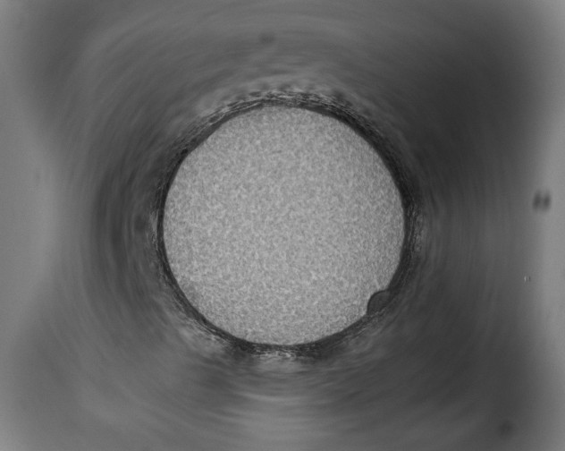 X0000115351489200911241140
