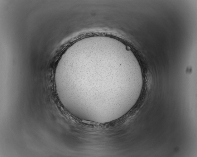 X0000115351494200911241140