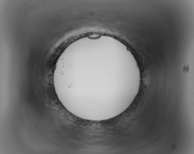 X0000115351495200911241140