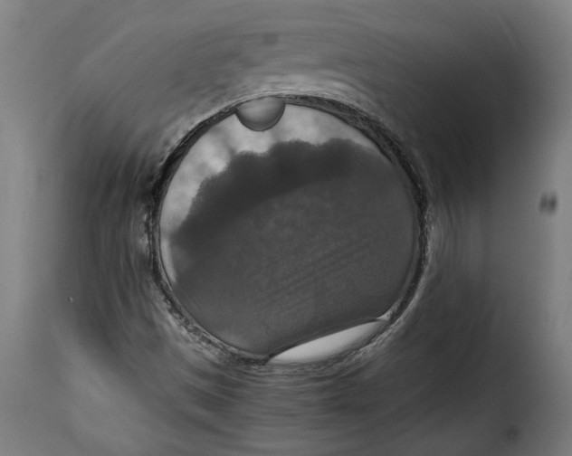 X0000115351497200911241140