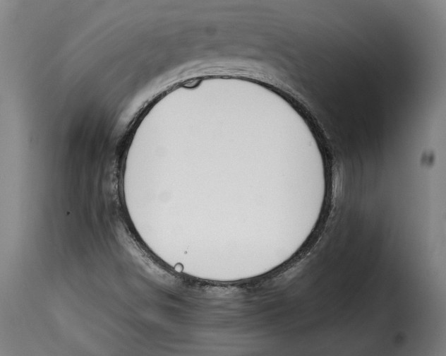 X0000115351498200911241140