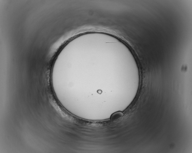 X0000115351503200911241140