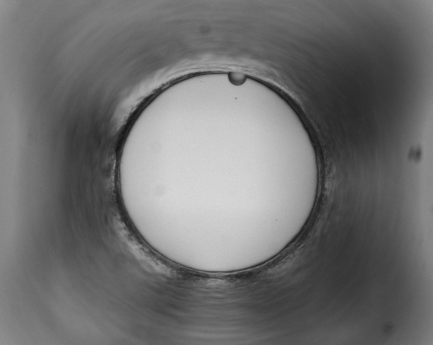 X0000115351507200911241140