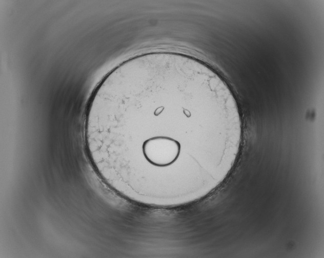 X0000115351514200911241140