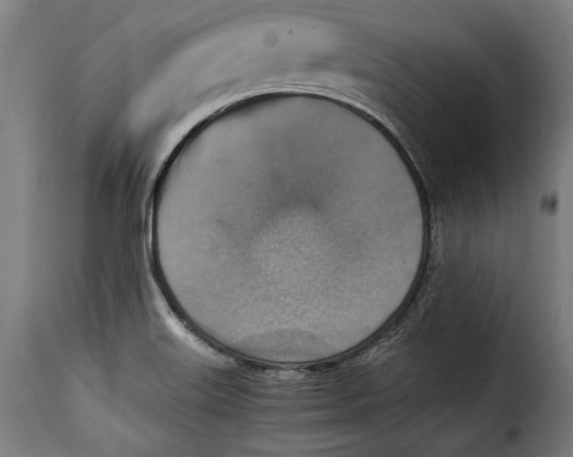 X0000115351515200911241140