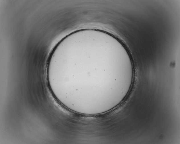 X0000115351517200911241140