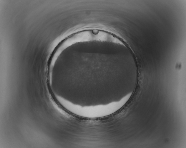 X0000115351519200911241140