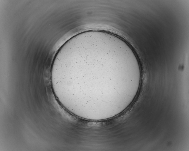 X0000115351521200911241141