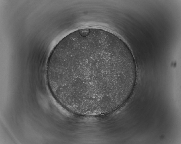 X0000115351525200911241141