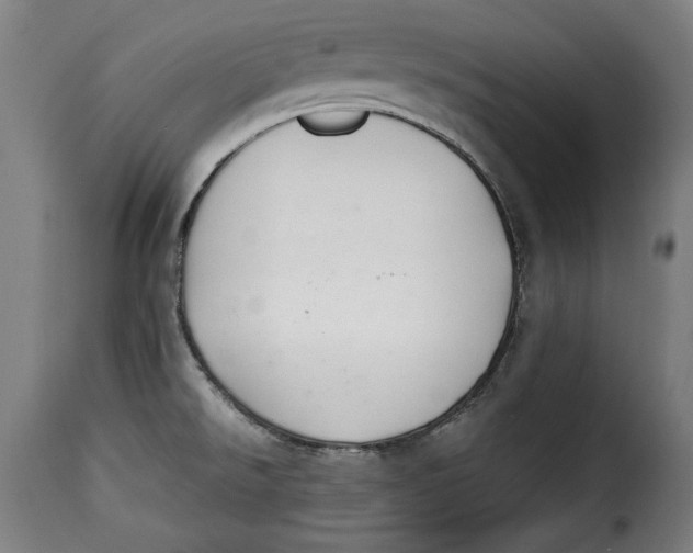 X0000115351526200911241141