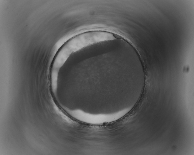 X0000115351527200911241141