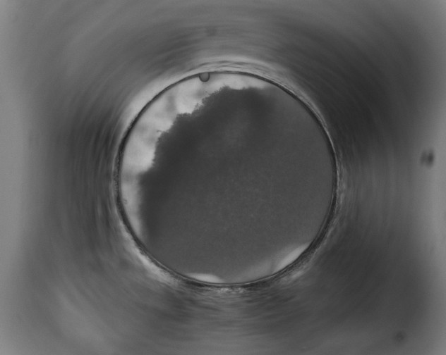 X0000115351533200911241141