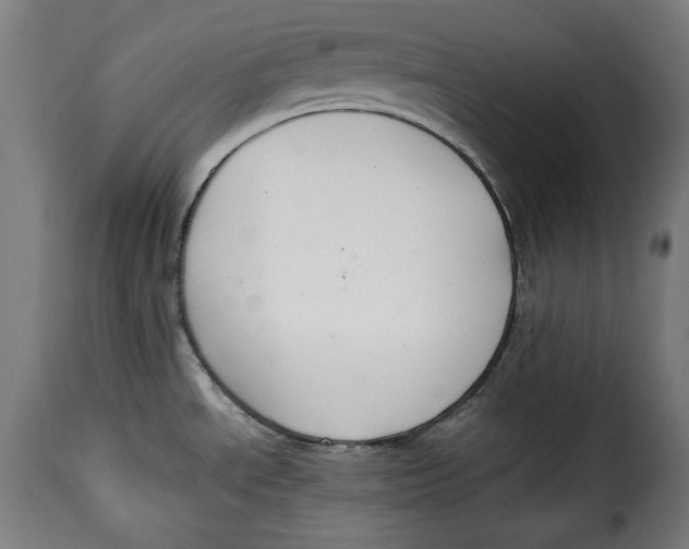 X0000115351534200911241141