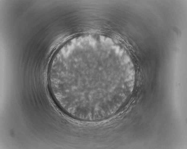 X0000115350002200912011102