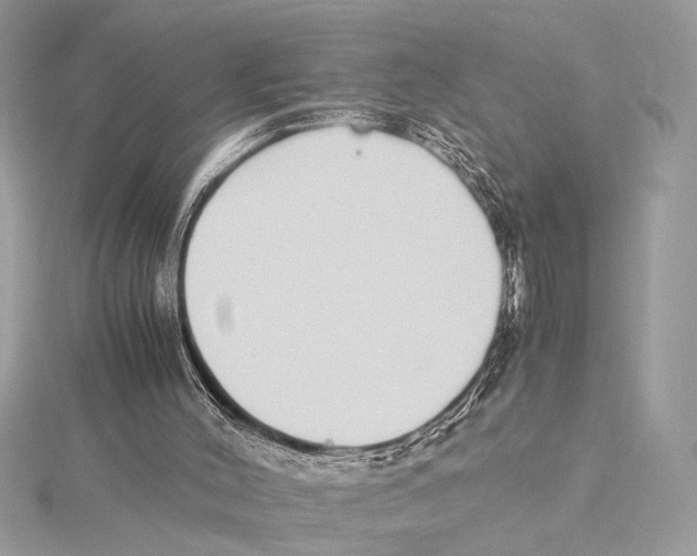 X0000115350004200912011102